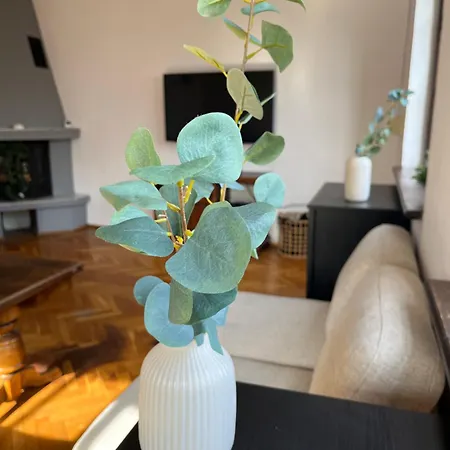 Prime Cliff * Gdynia