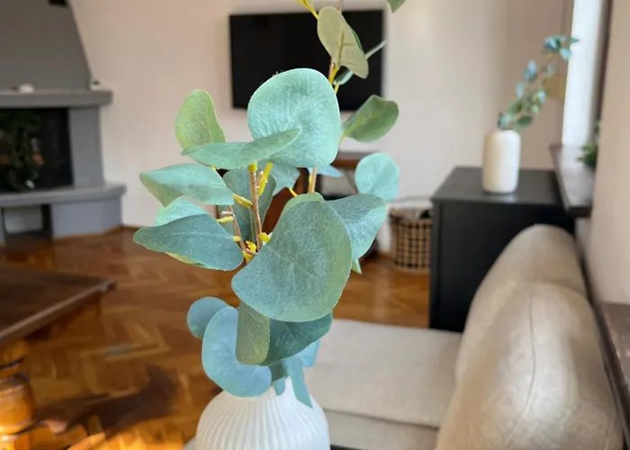 Prime Cliff * גדינייה